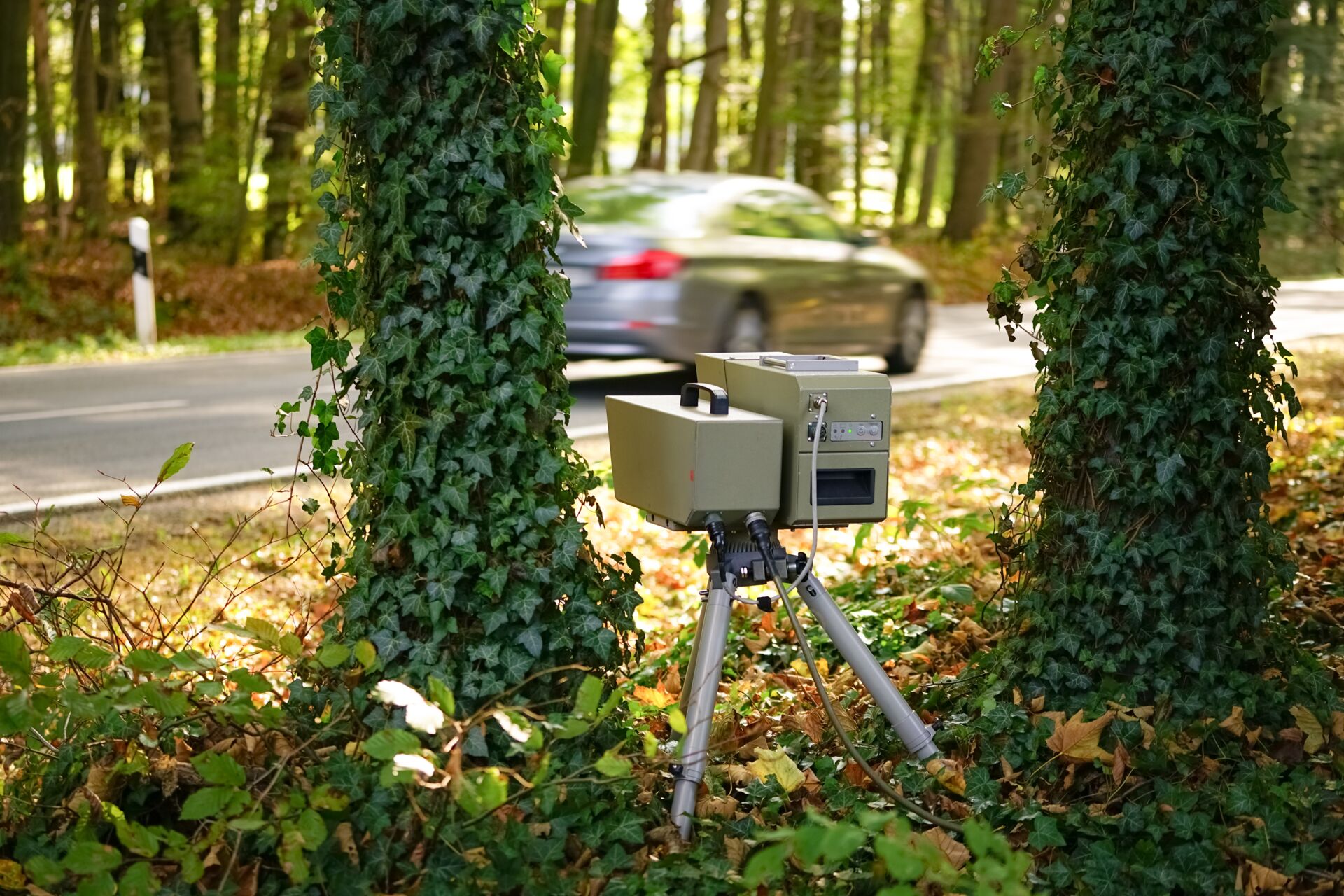 Ein stationärer Blitzkasten, der zwischen zwei Bäumen im Wald platziert ist